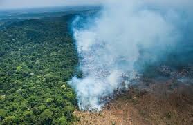 Amazon rainforest destruction