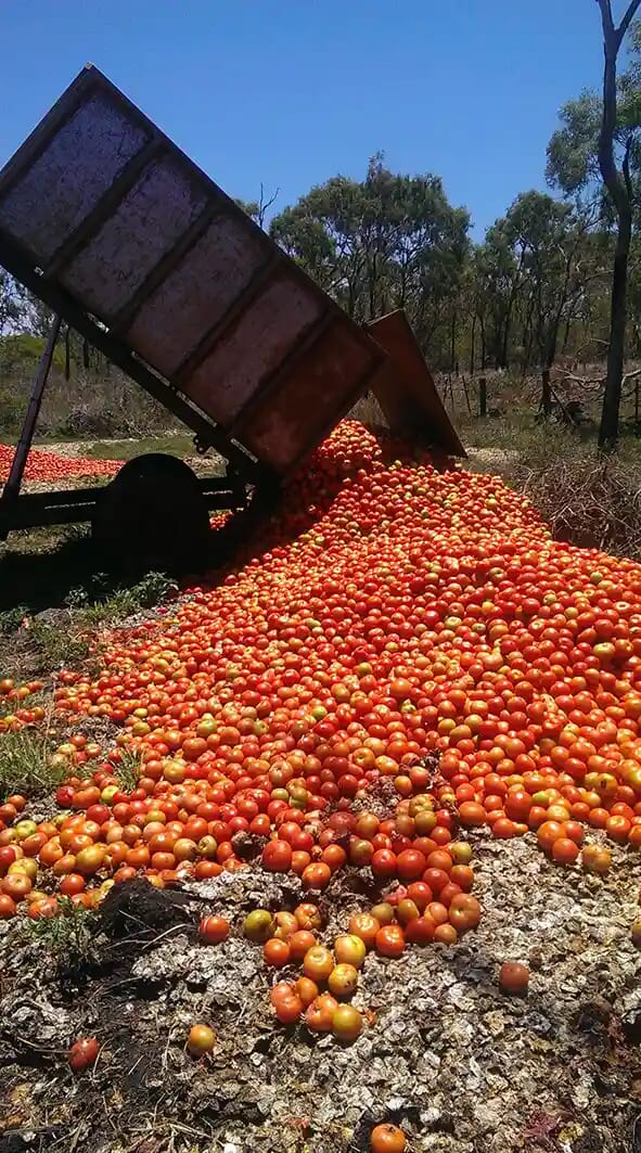 Crops dumped